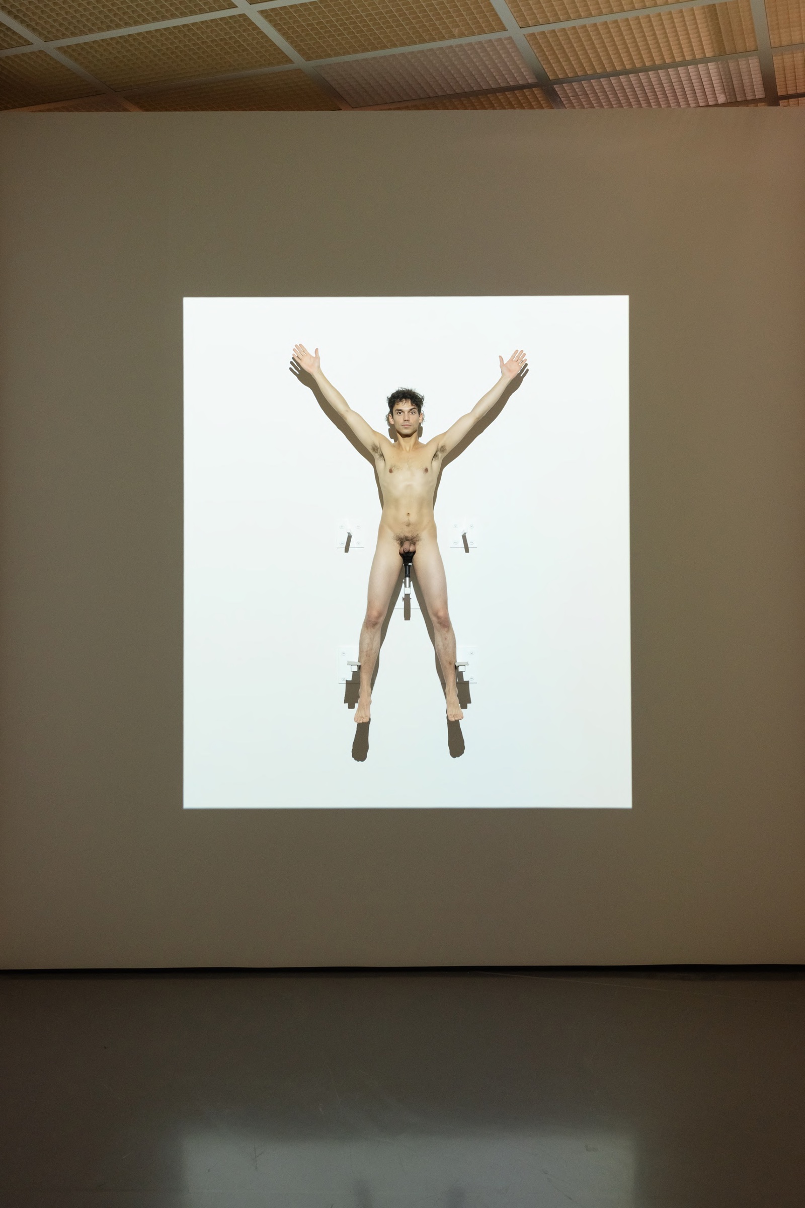 Naked performer suspended on a wall, arms raised