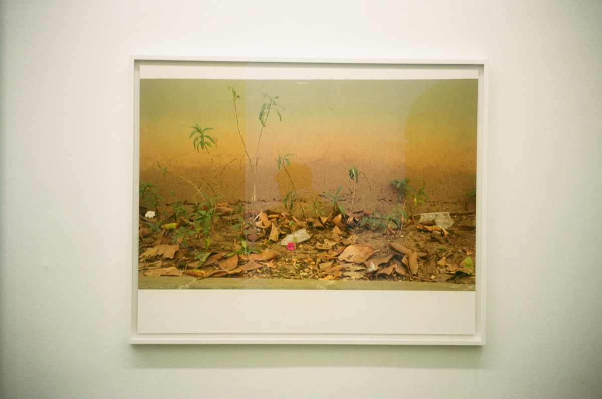 A framed landscape photograph on a white wall