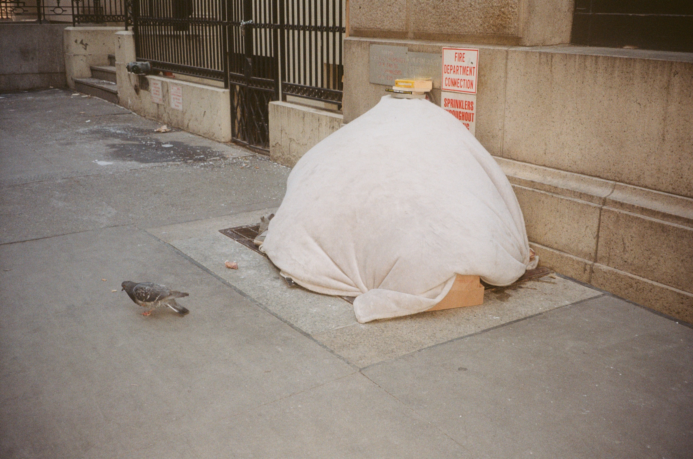 A white sack on a New York sidewalk, a pigeon beside it