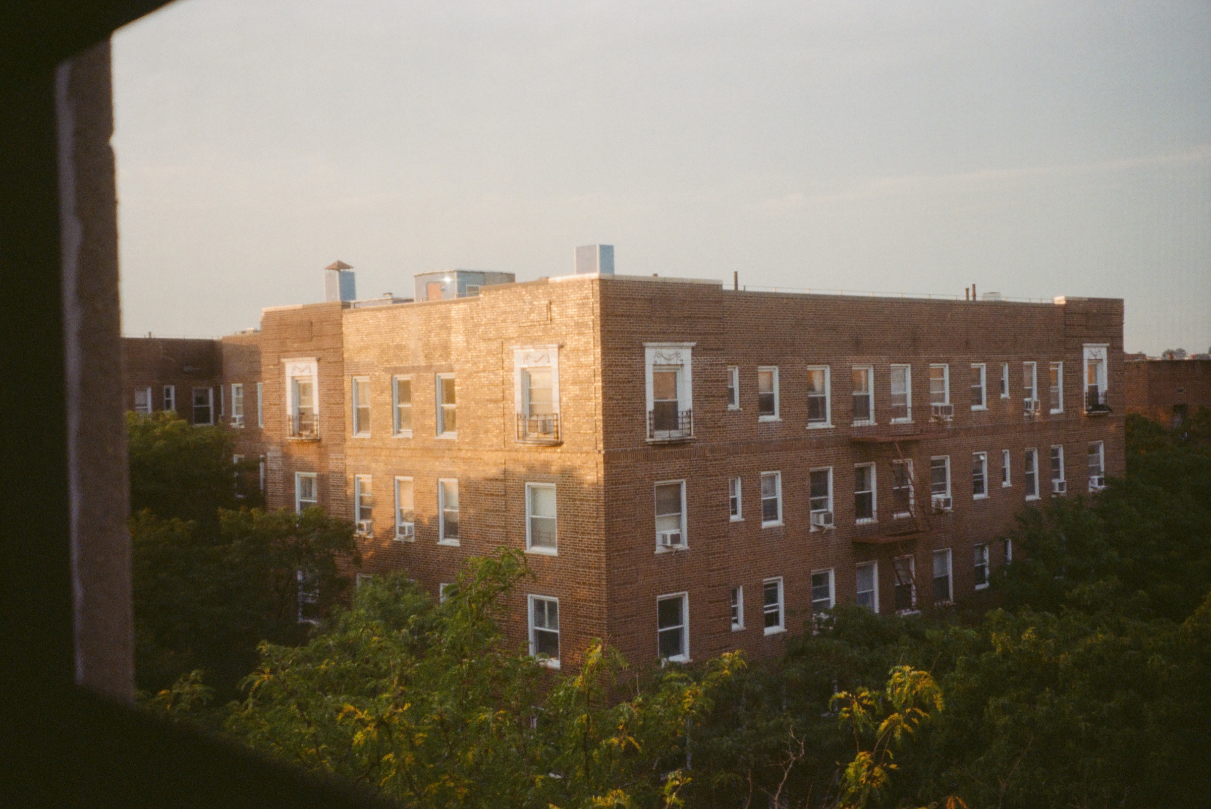 A brick apartment block above trees at dusk