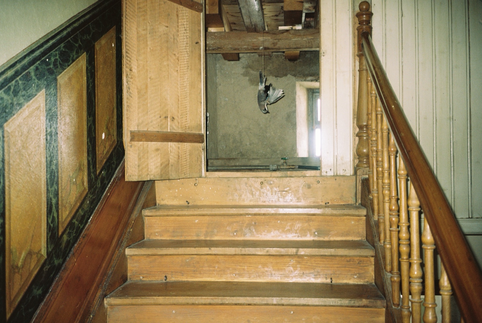 A wooden stairwell; a dead bird lies on the landing above